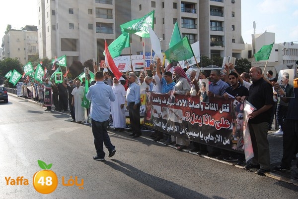 td egypt empassy 814 (44).JPG